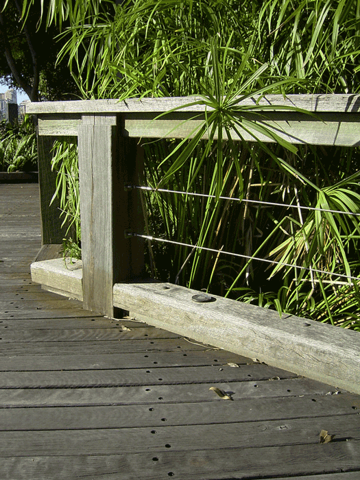 Nature Walkway 2